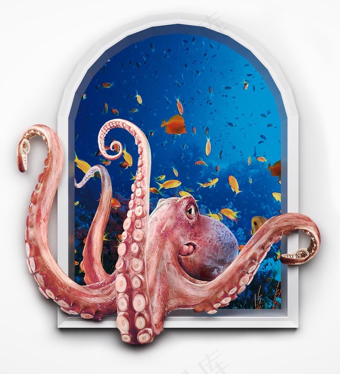 3D水族图片(4252X4516(DPI:72))psd模版下载