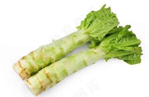 莴笋图片
