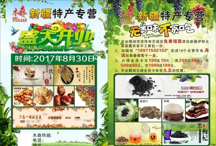 新疆特产单页图片(210X297)cdr矢量模版下载
