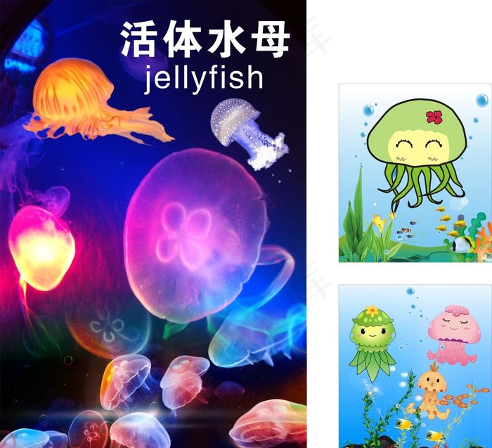 水母 海报图片cdr矢量模版下载
