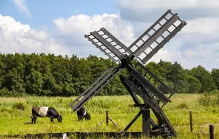 牧场风车风景图片