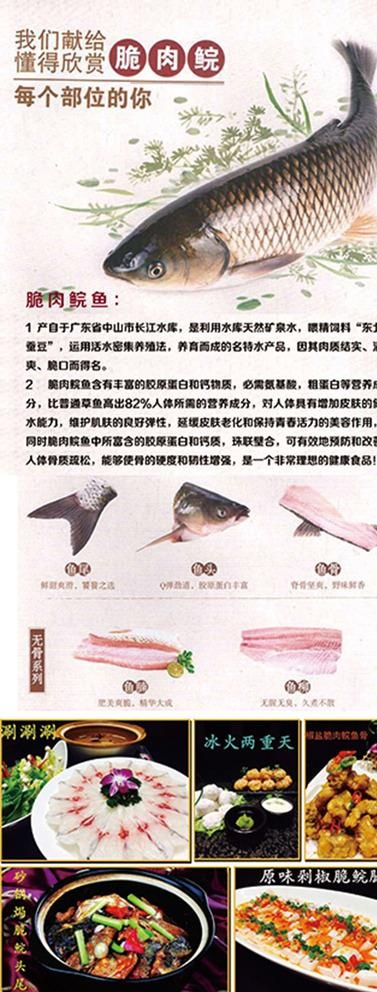 脆肉鲩鱼易拉宝图片psd模版下载