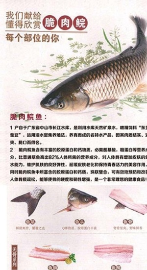 脆肉鲩鱼易拉宝图片