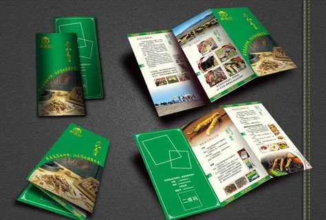 冬虫夏草三折页图片