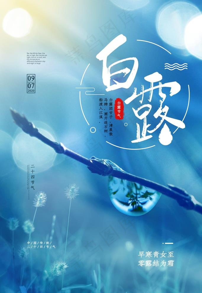 白露图片