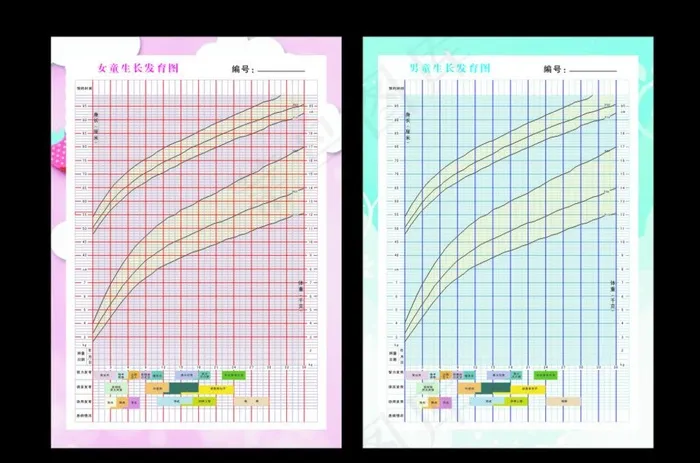 男童、女童生长发育图图片cdr矢量模版下载