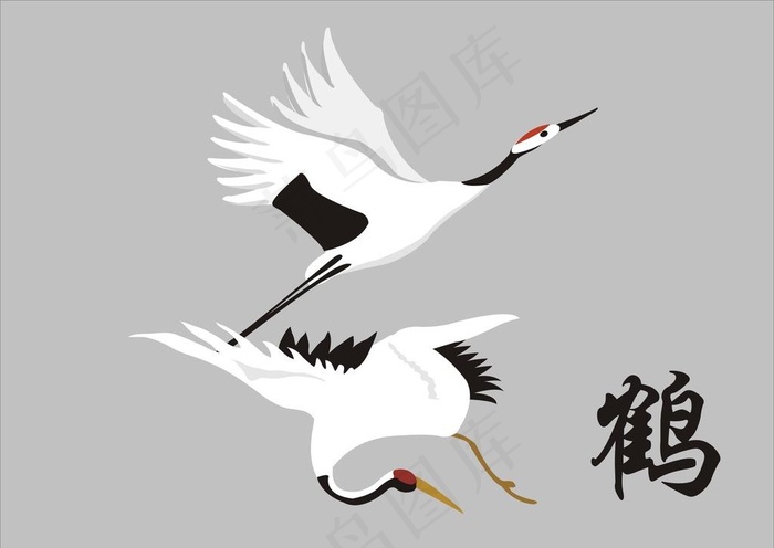 白鹤图片