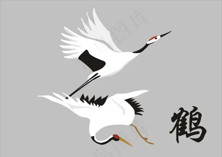 白鹤图片 白鹤图片
