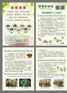 多肉养护手册图片
