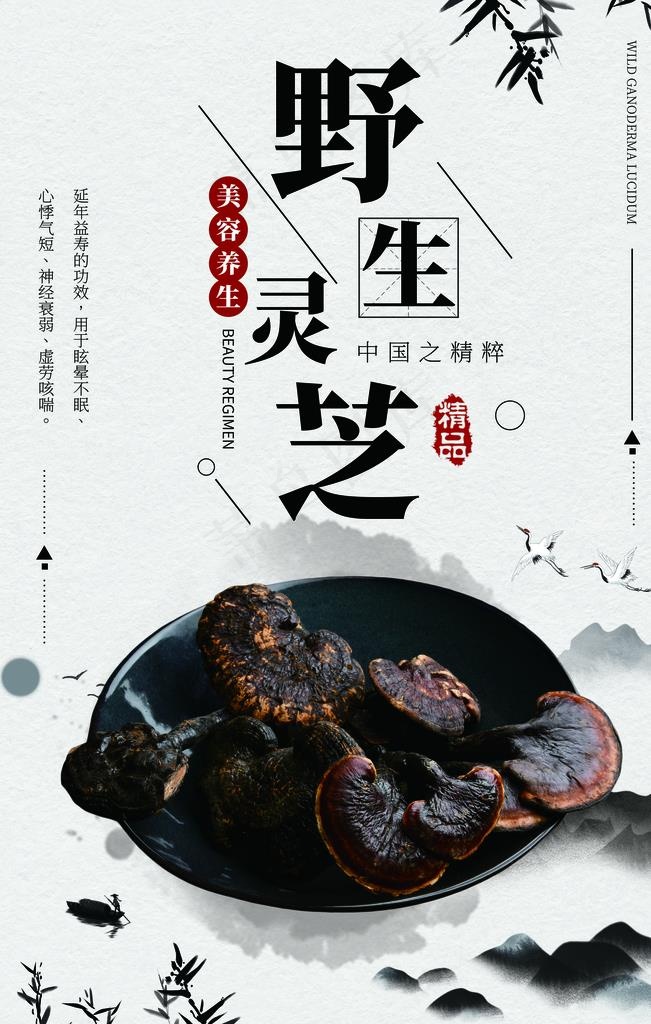 野生灵芝图片(3543X5315(DPI:300))psd模版下载