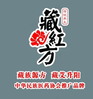 藏红方logo品牌形象墙图片