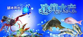 水产图片