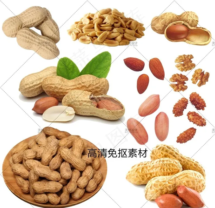 花生图片(2000X2000(DPI:100))psd模版下载
