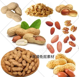 花生图片 花生图片