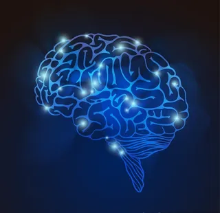 创意大脑矢量插画图片