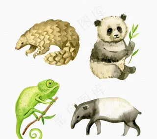 手绘野生动物矢量图图片