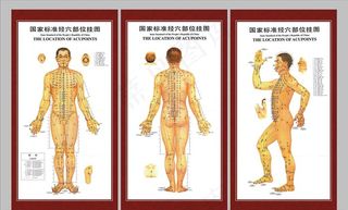 经络图图片