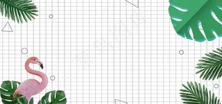 夏季线框清新淡雅背景素材图片