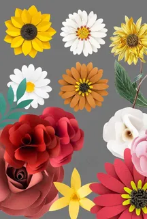 花朵图片 花朵图片