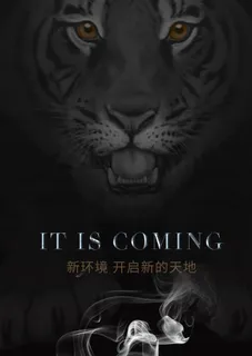 黑色老虎海报图片