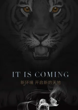 黑色老虎海报图片