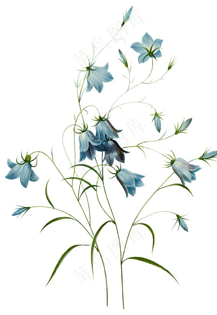 手绘花图片