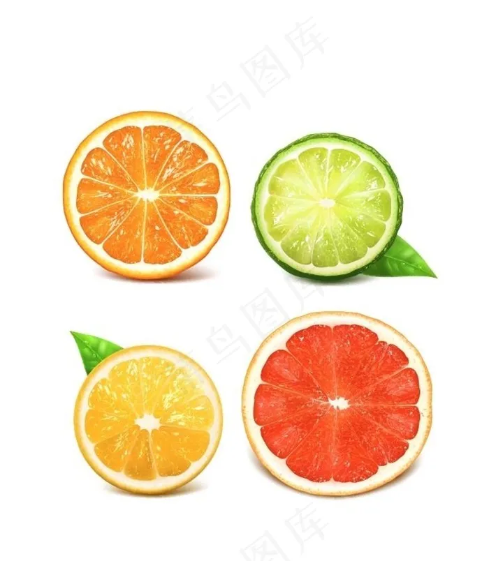 水果矢量图片ai矢量模版下载