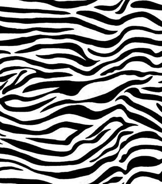 斑马纹图片