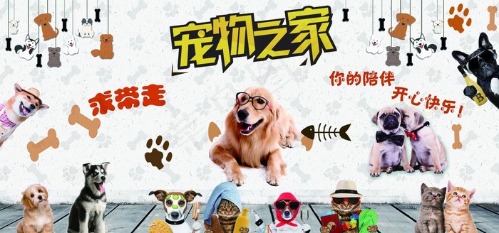 宠物乐园图片(8504X4252(DPI:72))psd模版下载
