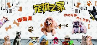宠物乐园图片