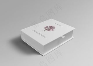 高端文艺简约极简VI包装盒效果图片