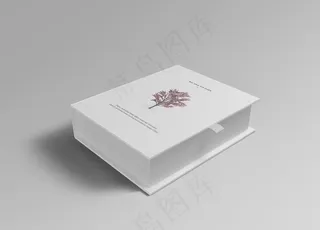 高端文艺简约极简VI包装盒效果图片
