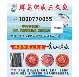 挪威三文鱼图片
