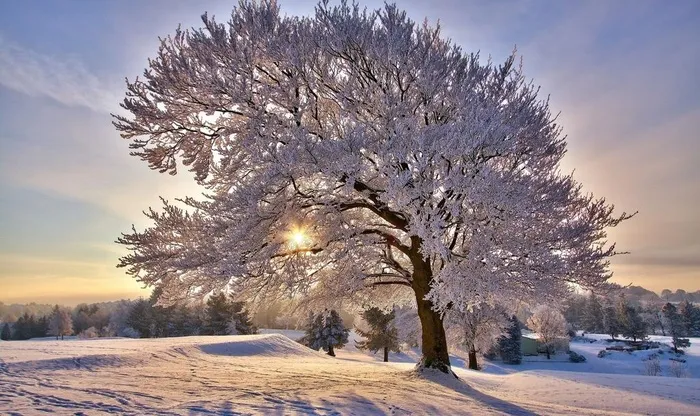 雪景图片