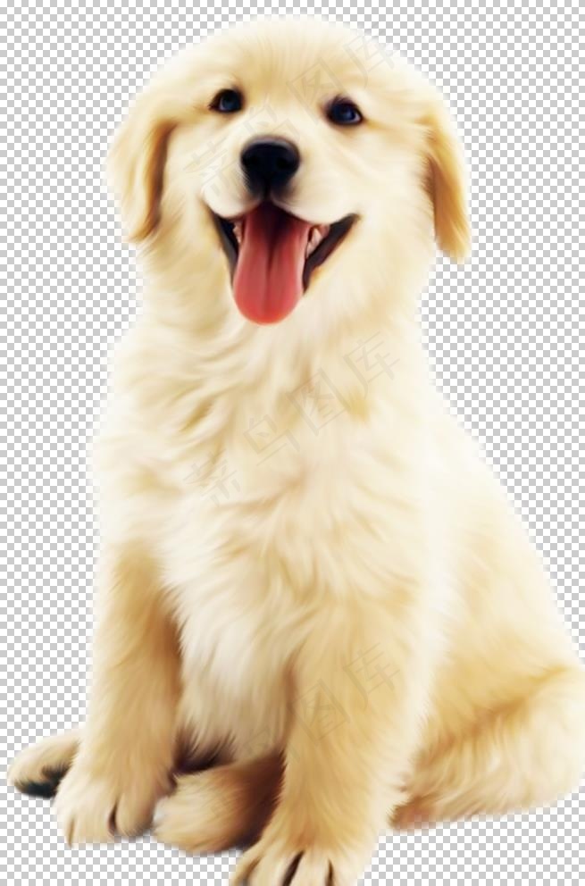 精选宠物狗psd素材元素设计图片