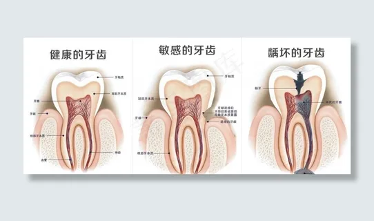 健康的牙齿图片