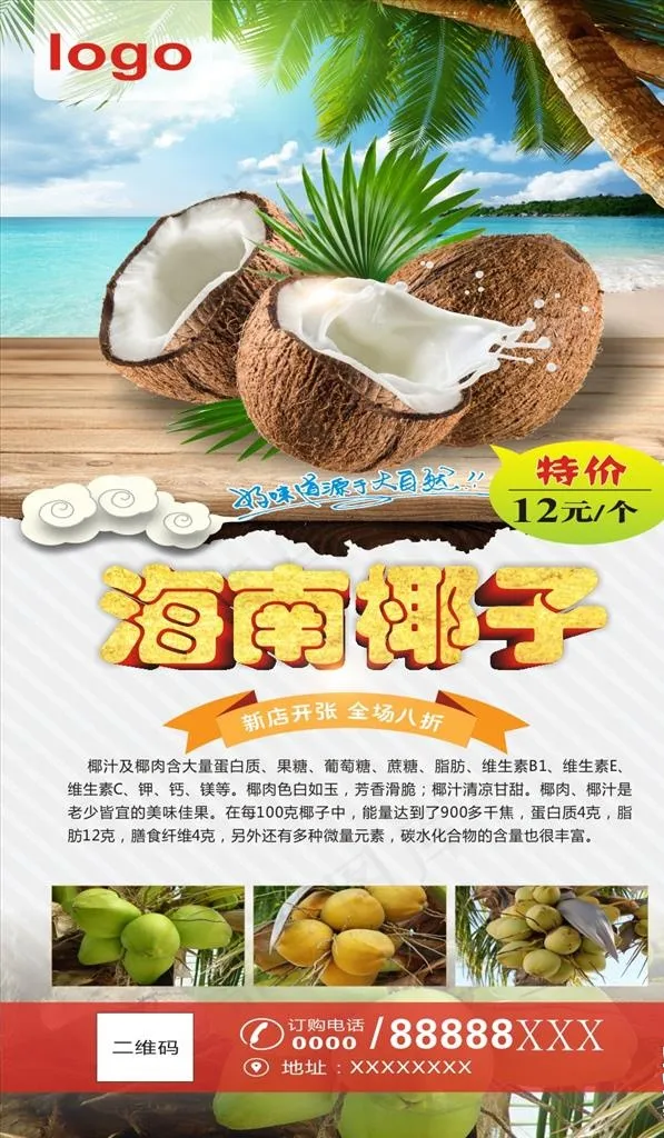 海南椰子图片