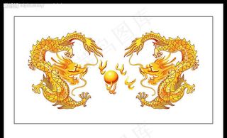 金色二龙戏珠图片