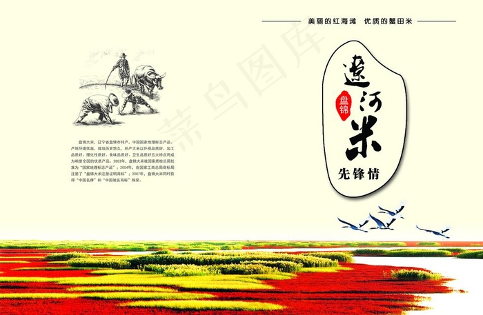 封面  书皮  红海滩 大米图片