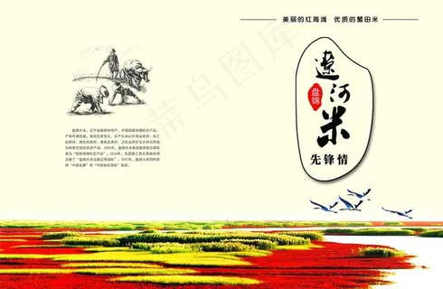 封面  书皮  红海滩 大米图片