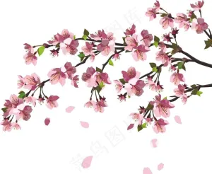 桃花图片