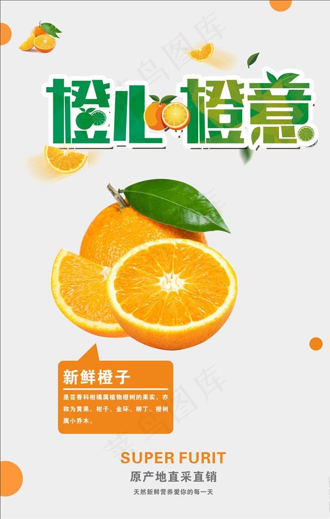 橙子海报图片cdr矢量模版下载
