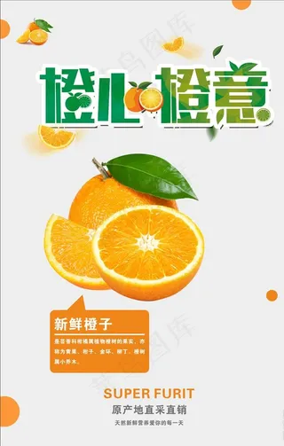 橙子海报图片