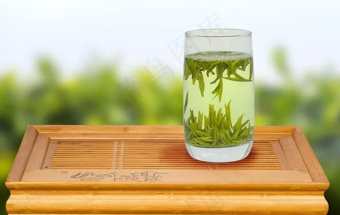 雀舌绿茶图片