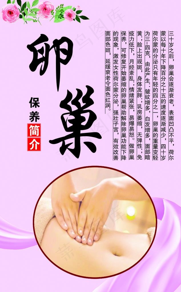 卵巢图片(4606X7087(DPI:200))psd模版下载
