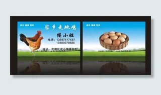 走地鸡名片图片