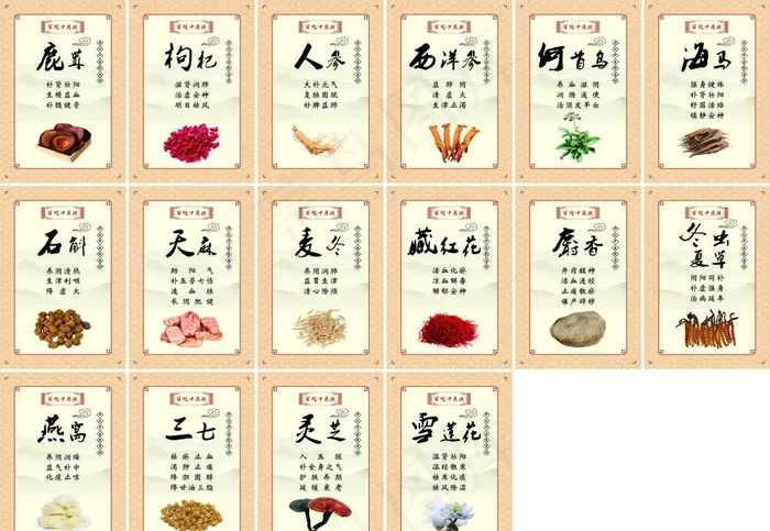 名贵中药材展板图片(9000X6000)cdr矢量模版下载