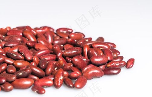 红豆图片 红豆图片