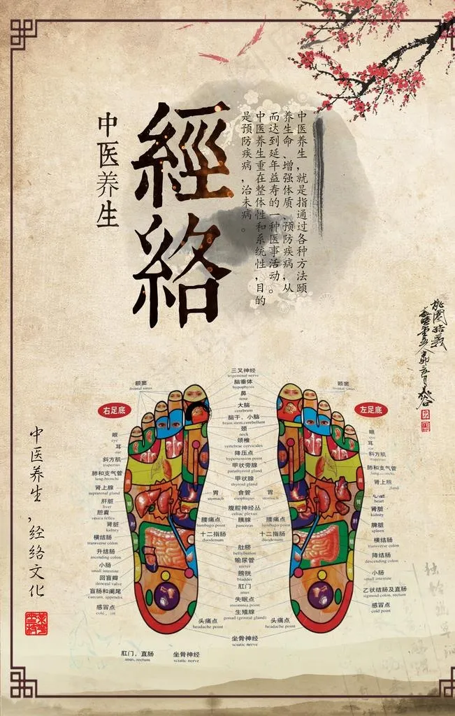 中医经络海报图片(3543X5315(DPI:150))psd模版下载