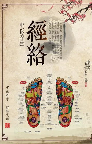 中医经络海报图片